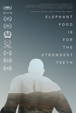 Elephant Food is for the Strongest Teeth