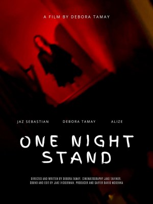 One Night Stand