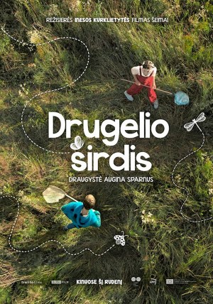 Drugelio sirdis