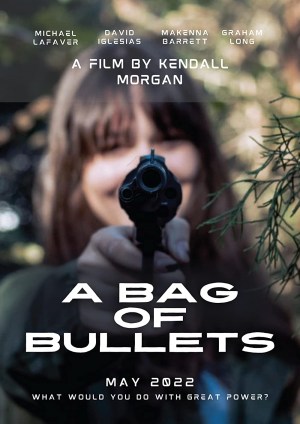 A Bag of Bullets