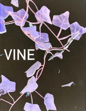Vine