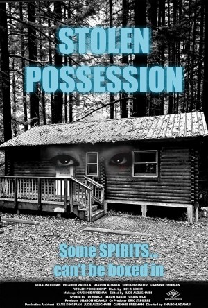 Stolen Possession