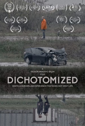 Dichotomized