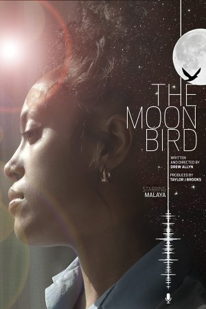 The Moon Bird