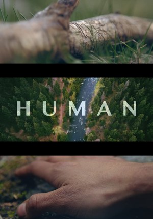 Human: Jodie B