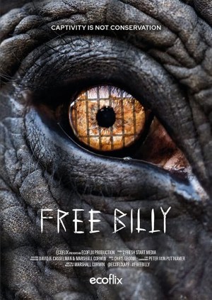 Free Billy