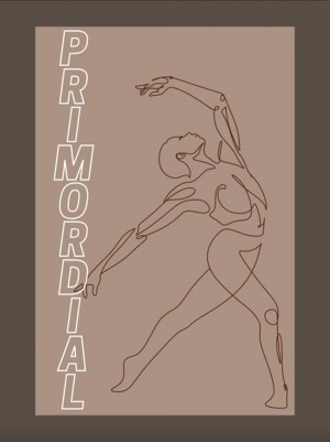 Primordial