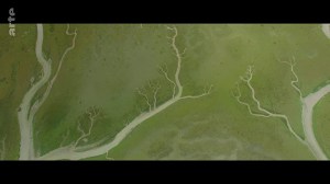 La mer des Wadden - Vivre au rythme des marées