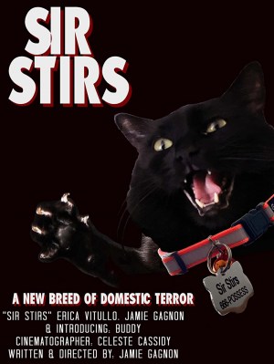 Sir Stirs