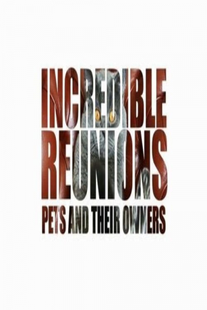 Incredible Reunions: Pets and their Owners