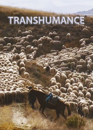 Back to the Roots: Trashumancia