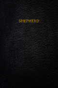 Película Shepherd