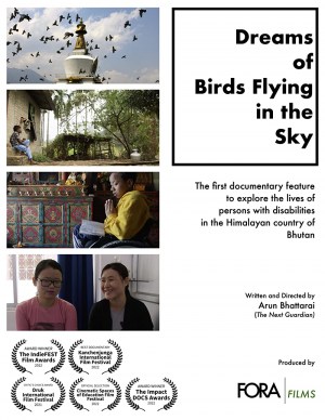 Dreams of Birds Flying in the Sky