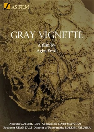 Gray Vignette