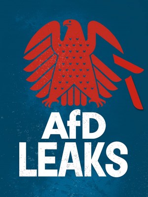 AfD-Leaks: Die geheimen Chats der Bundestagsfraktion