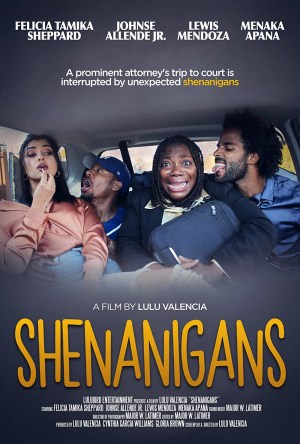 Shenanigans Shenanigans