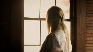 Through the Glass