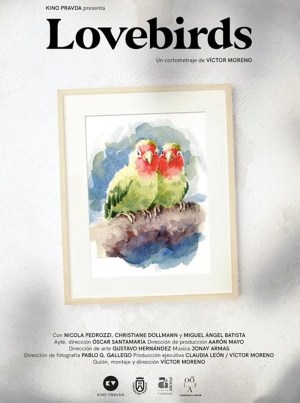 Lovebirds