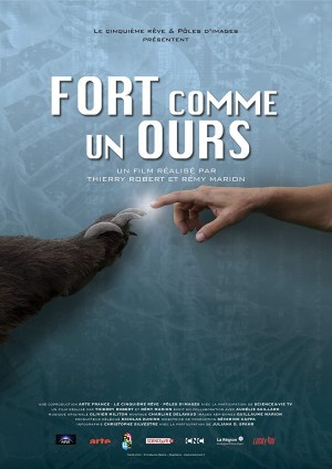 Fort comme un ours