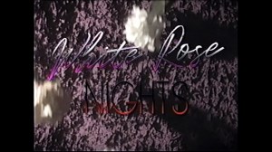 White Rose Nights