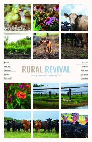 Rural Revival
