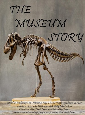 The Museum Story