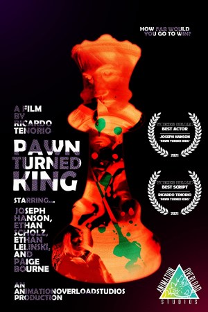 Pawn Turned King