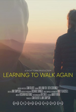 Learning to Walk Again