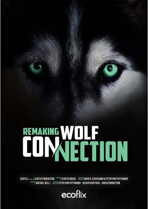 The Wolf Connection