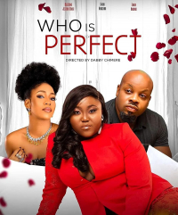 Who Is Perfect