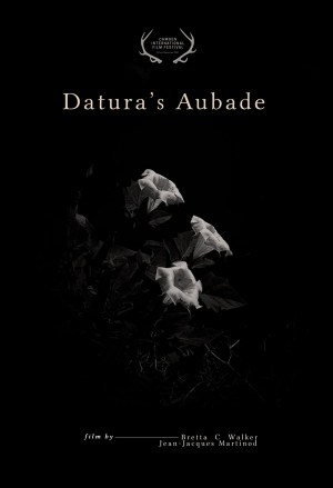 Datura's Aubade