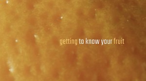 Getting to Know Your Fruit