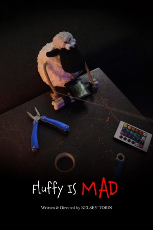 Fluffy is Mad Fluffy is Mad