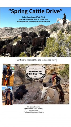 Spring Cattle Drive