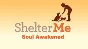 Shelter Me: Soul Awakened