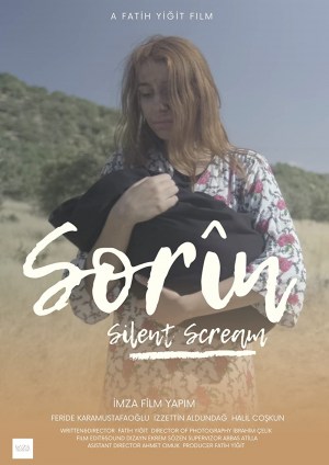 Sorin Silent Screams