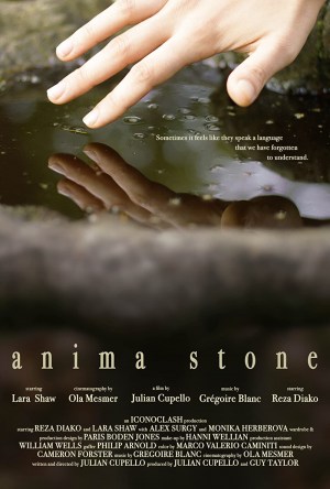 Anima Stone