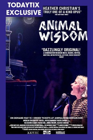 Animal Wisdom