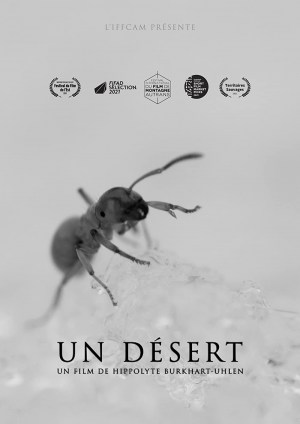 Un désert
