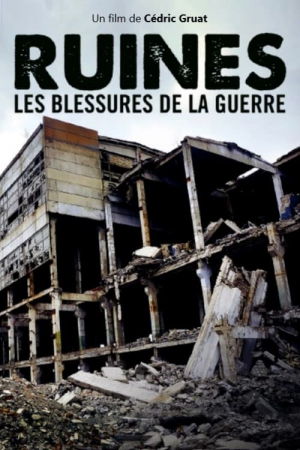 Ruins: a History of Contemporary Warfare