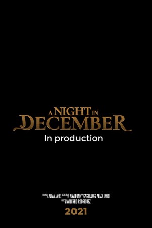 A Night in December