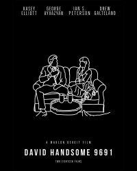 David Handsome 9691
