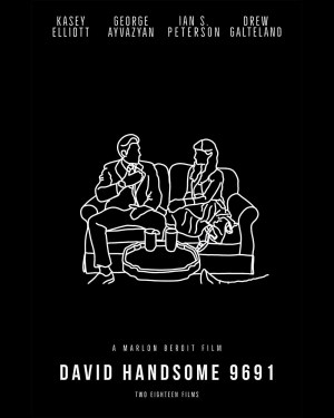 David Handsome 9691
