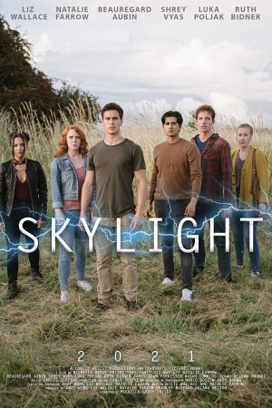 Skylight