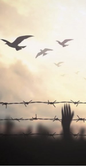 Les secrets de mon père