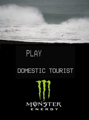 Domestic Tourist