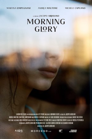 Morning Glory