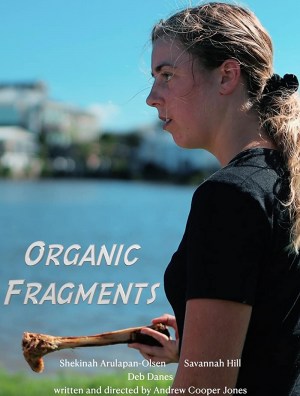 Organic Fragments