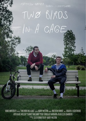 Two Birds in A Cage