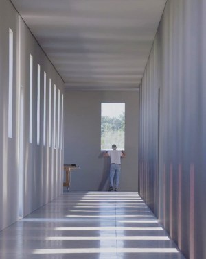 Robert Irwin: A Desert of Pure Feeling Robert Irwin: A Desert of Pure Feeling